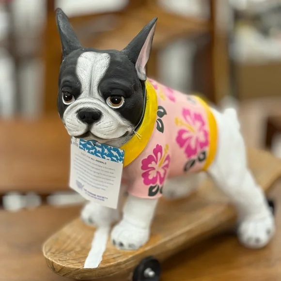 FRENCHIE RIDING SKATEBOARD